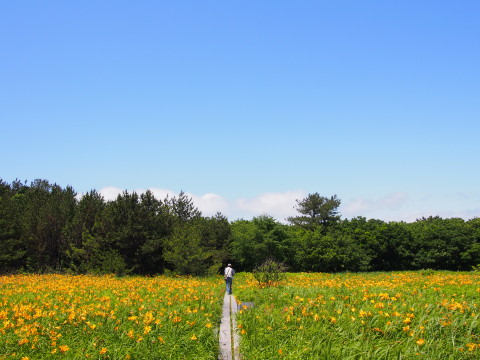 b0147224_2033536.jpg