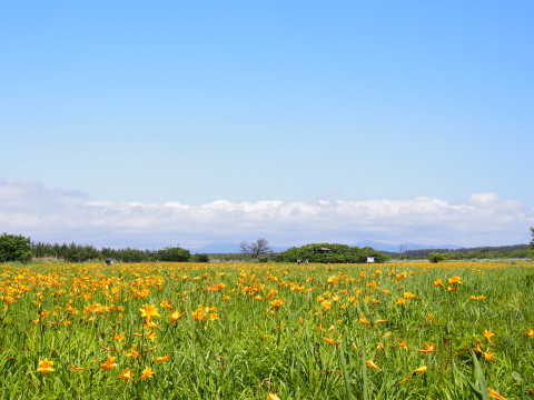 b0147224_2035485.jpg