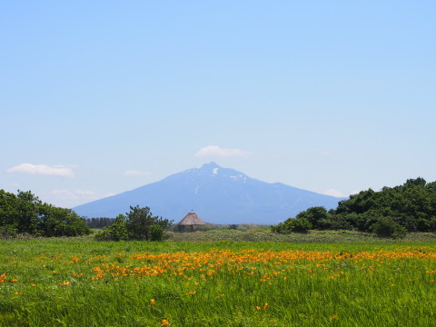 b0147224_204689.jpg