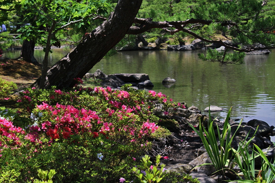 福島市桜本　東北の名庭園「浄楽園」（１）_d0106628_06564086.jpg