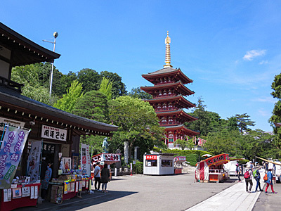 ホタルを見る夜練 ＆ 翌日は和田峠で撃沈...。_f0341635_16531877.jpg