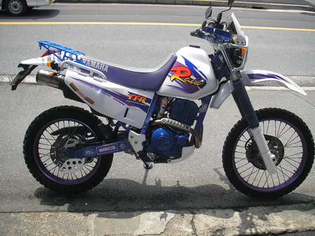 YAMAHA TT250Rレイド 仕事、林道 兼用車両 パート2_e0218639_1193891.jpg