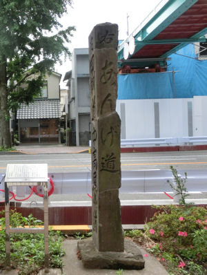 お茶壷道中(甲州街道) 日野の渡し_f0019247_12443038.jpg