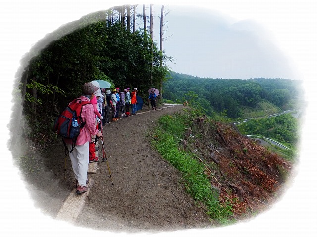 d0048350_10171590.jpg
