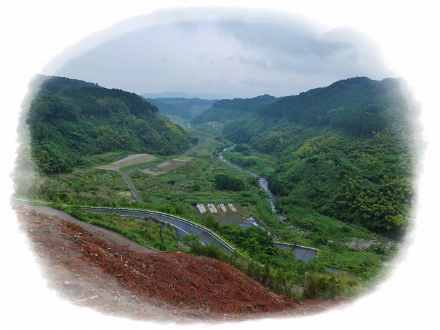 d0048350_1017938.jpg
