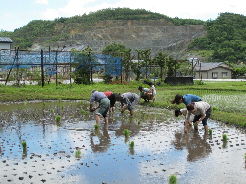 第２回田植えまつり報告【田植え前編】_f0339053_1801259.jpg