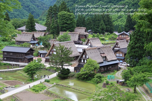 五箇山~飛騨高山~郡上八幡へ_f0184055_11242265.jpg