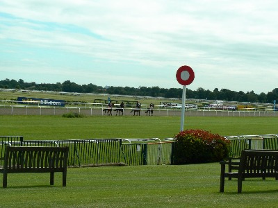 【UK 2012 買付旅】競馬場にアンティーク_e0338157_15351618.jpg