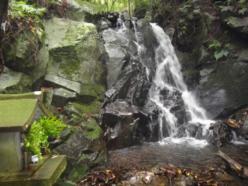 c0256558_8592071.jpg