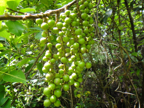 c0256558_8595919.jpg