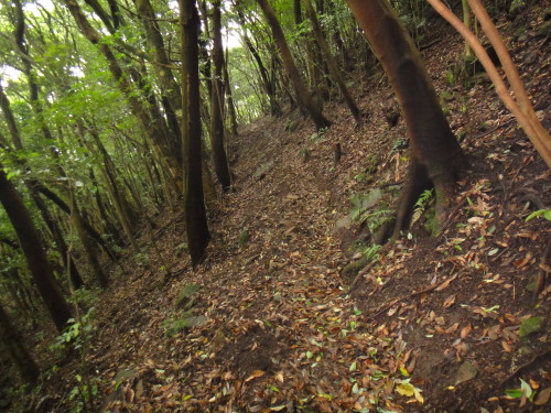 c0256558_94441.jpg