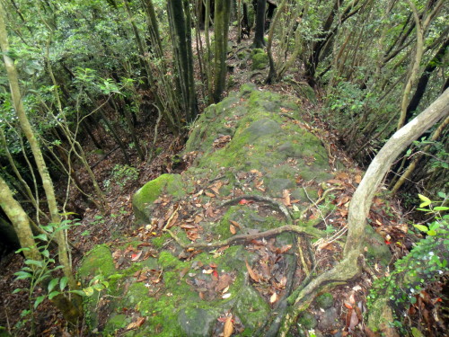 c0256558_95237.jpg