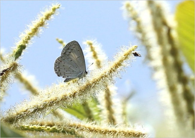 f0181173_205655.jpg
