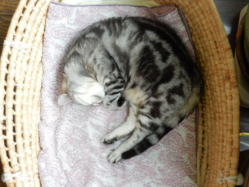 f0054677_06501873.jpg