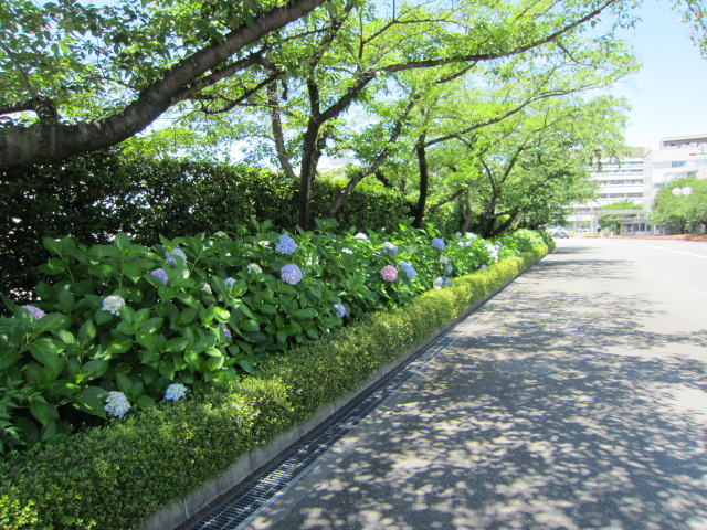 f0200477_80597.jpg