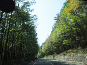 a0011280_1673633.jpg