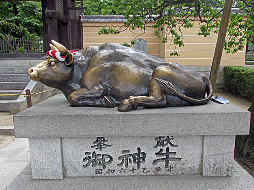 a0188487_15231279.jpg