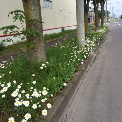 d0204189_1061494.jpg