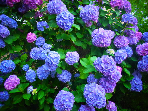 e0147206_028161.jpg