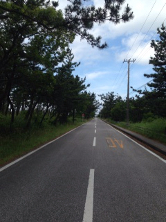 内房北上100㎞自転車の旅_e0000910_08310044.jpg