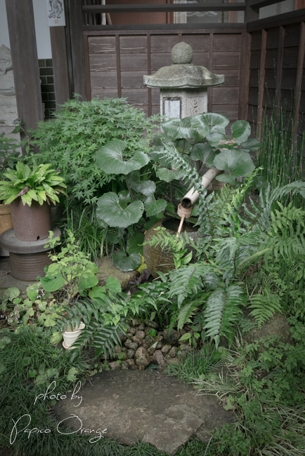 f0321610_18165415.jpg