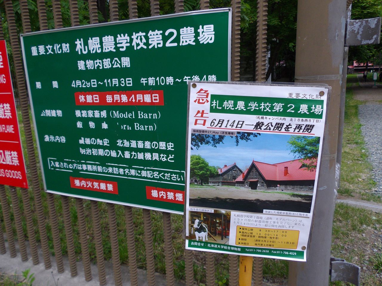 YOSAKOIから遠く離れて、静かな穴場となった北大構内_c0025115_21445231.jpg