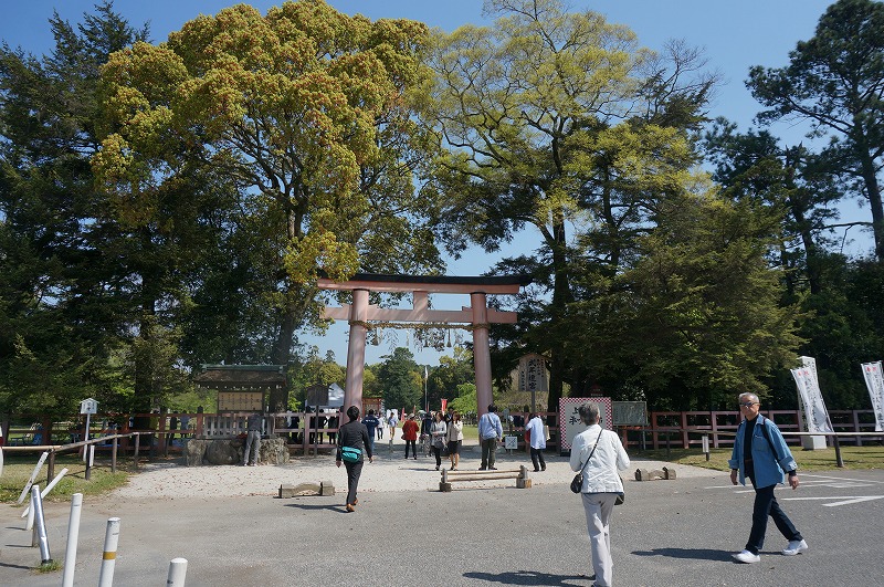  2015新緑の京都　vol.2 ～毎月第4日曜は上賀茂手づくり市　＠上賀茂神社_d0301815_19351841.jpg