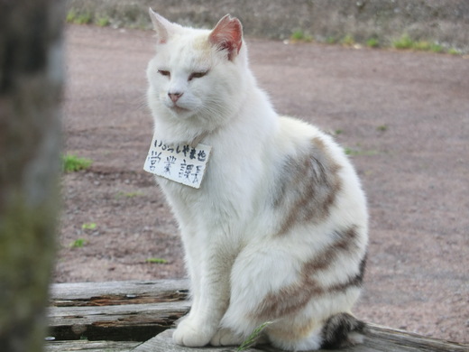 クラッチが切れない不幸せ？箱根へ4時間200キロツー。_d0221319_1936841.jpg