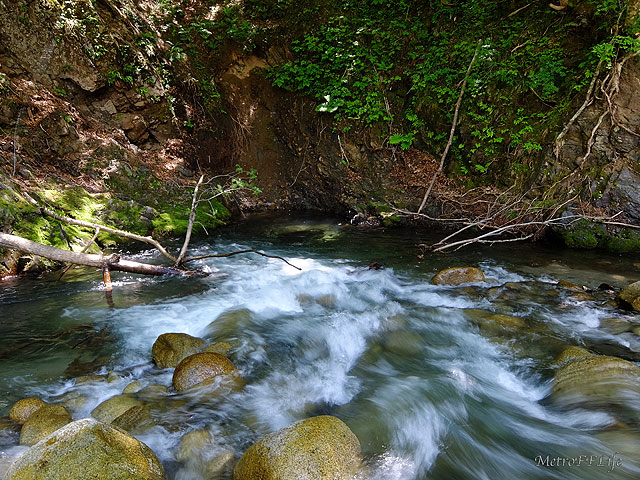 e0112722_18492926.jpg
