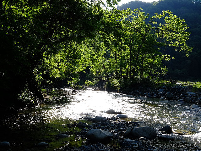 e0112722_18502751.jpg
