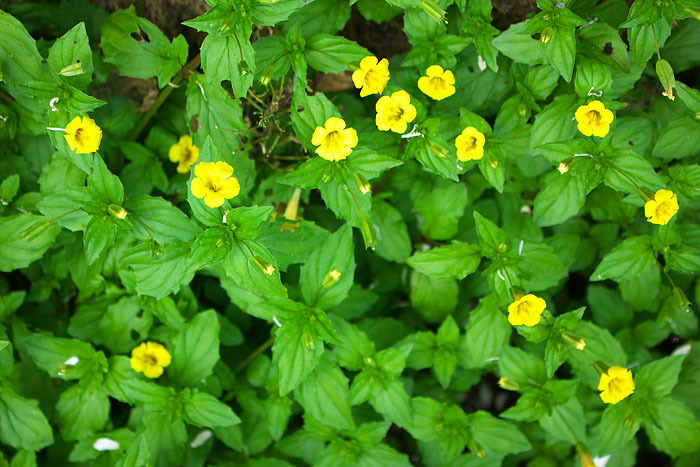 c0067040_22541640.jpg