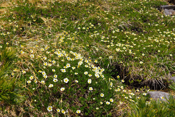 d0237340_22170885.gif