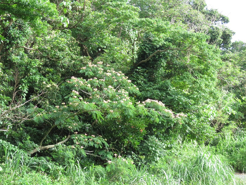 b0288942_7264786.jpg