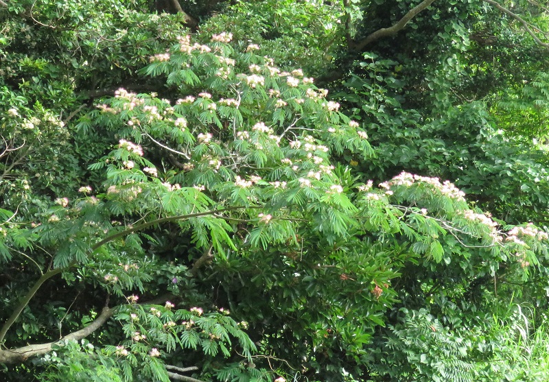 b0288942_7273272.jpg