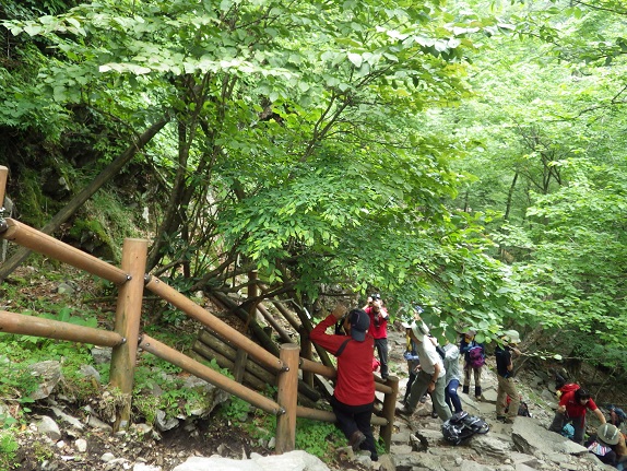 e0164643_2133135.jpg