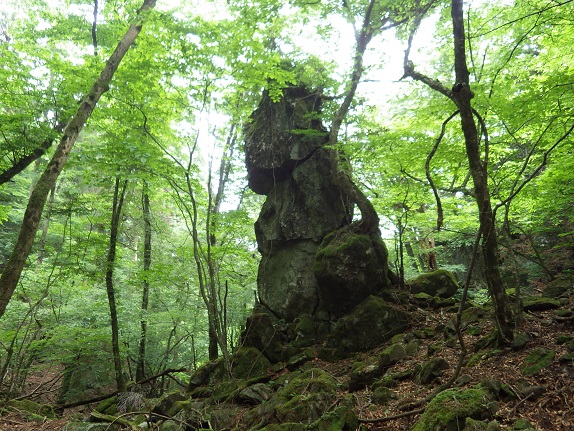 e0164643_2218182.jpg