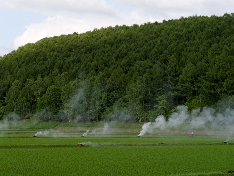 水田に上がる煙_f0080743_2132043.jpg