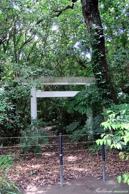 日向神話を巡る旅　江田神社編　その３　禊池。_f0351853_18432403.jpg