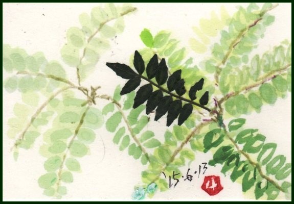 如何にも京らしいね_e0074955_981035.jpg