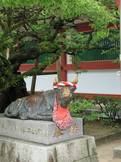 太宰府天満宮　月例祭お詣りと菖蒲の花見　！！！_b0124456_22145434.jpg