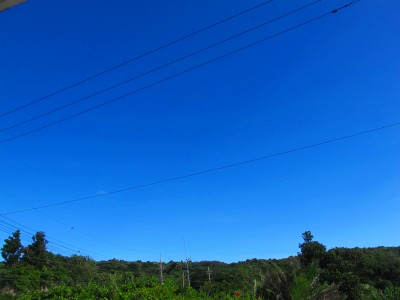 6月14日 ちょいワルⅢ号_d0113459_173397.jpg