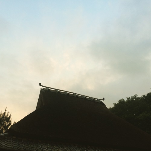 梅子黄_d0185565_0141059.jpg