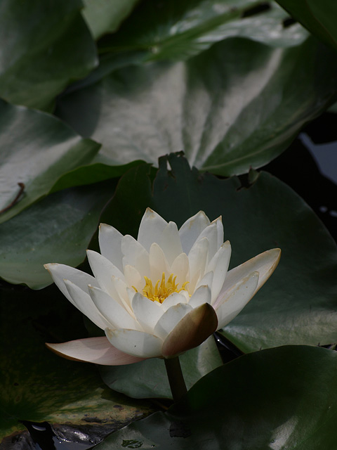 b0006870_22291579.jpg