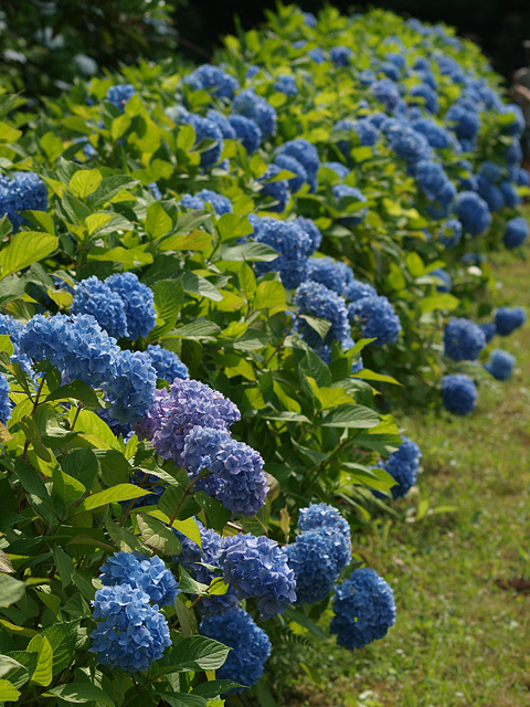 b0006870_2229445.jpg