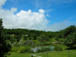 d0240983_94671.jpg