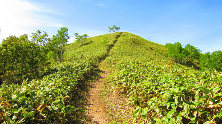 〇チャンコッペ山　調査ライド_a0242984_17495725.jpg