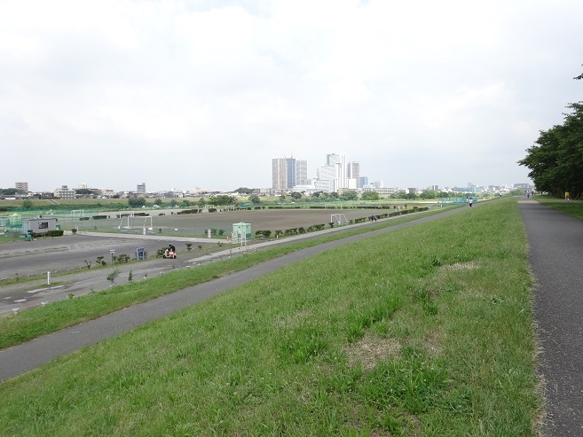 武蔵野の道 丸子 二子コース01 多摩川台公園 Teione Blog 平山 貞一 武蔵野の道 丸子 二子コース01 多摩川台公園 Teione Blog 平山 貞一