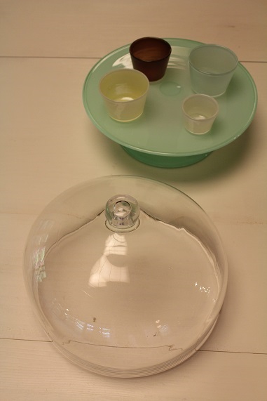 d0145094_1513471.jpg