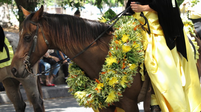 The 99th Annual King Kamehameha Floral Parade_f0293800_16321210.jpg