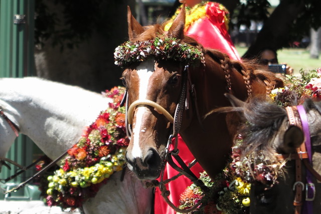 The 99th Annual King Kamehameha Floral Parade_f0293800_16361170.jpg